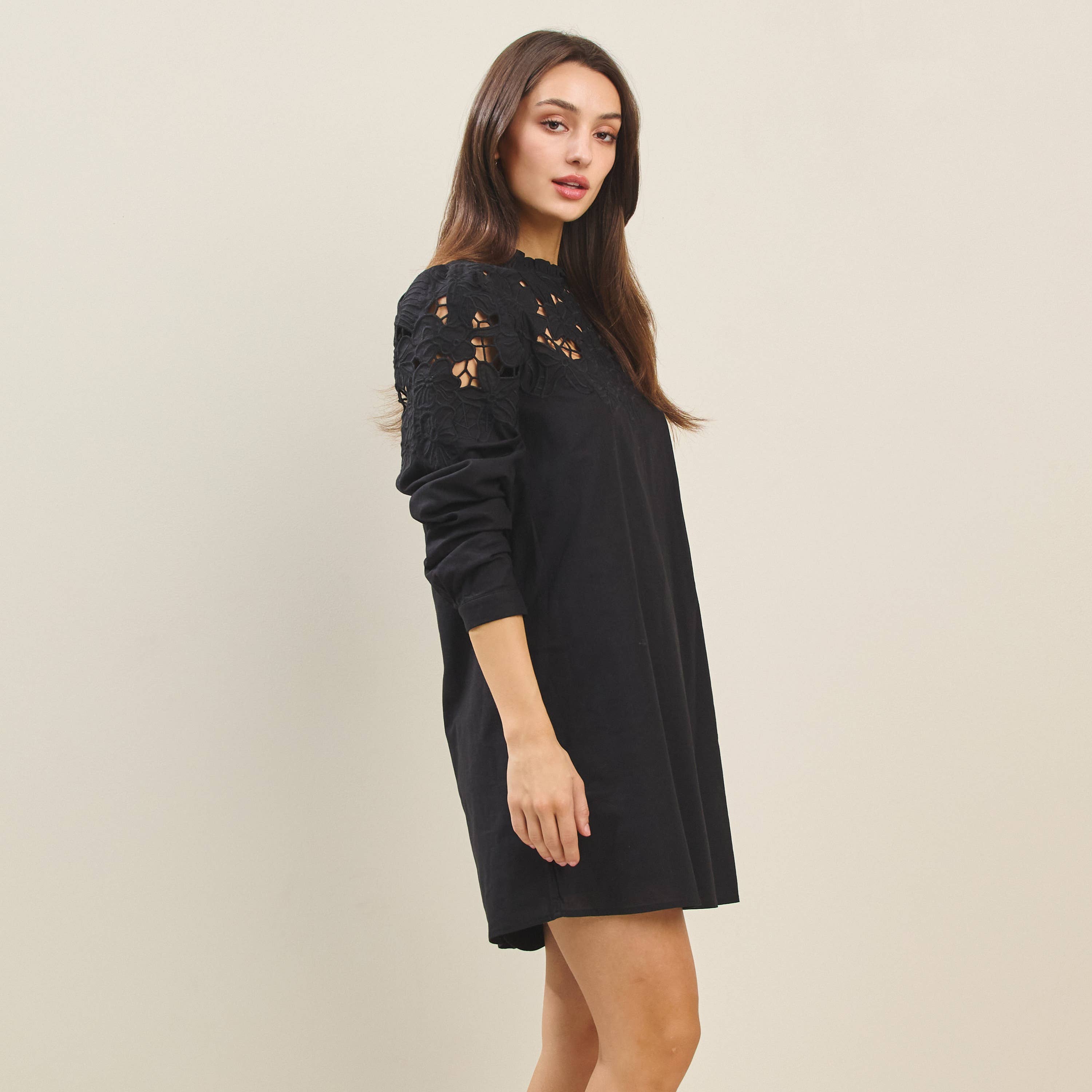 Cutwork Embroidered Mini Dress